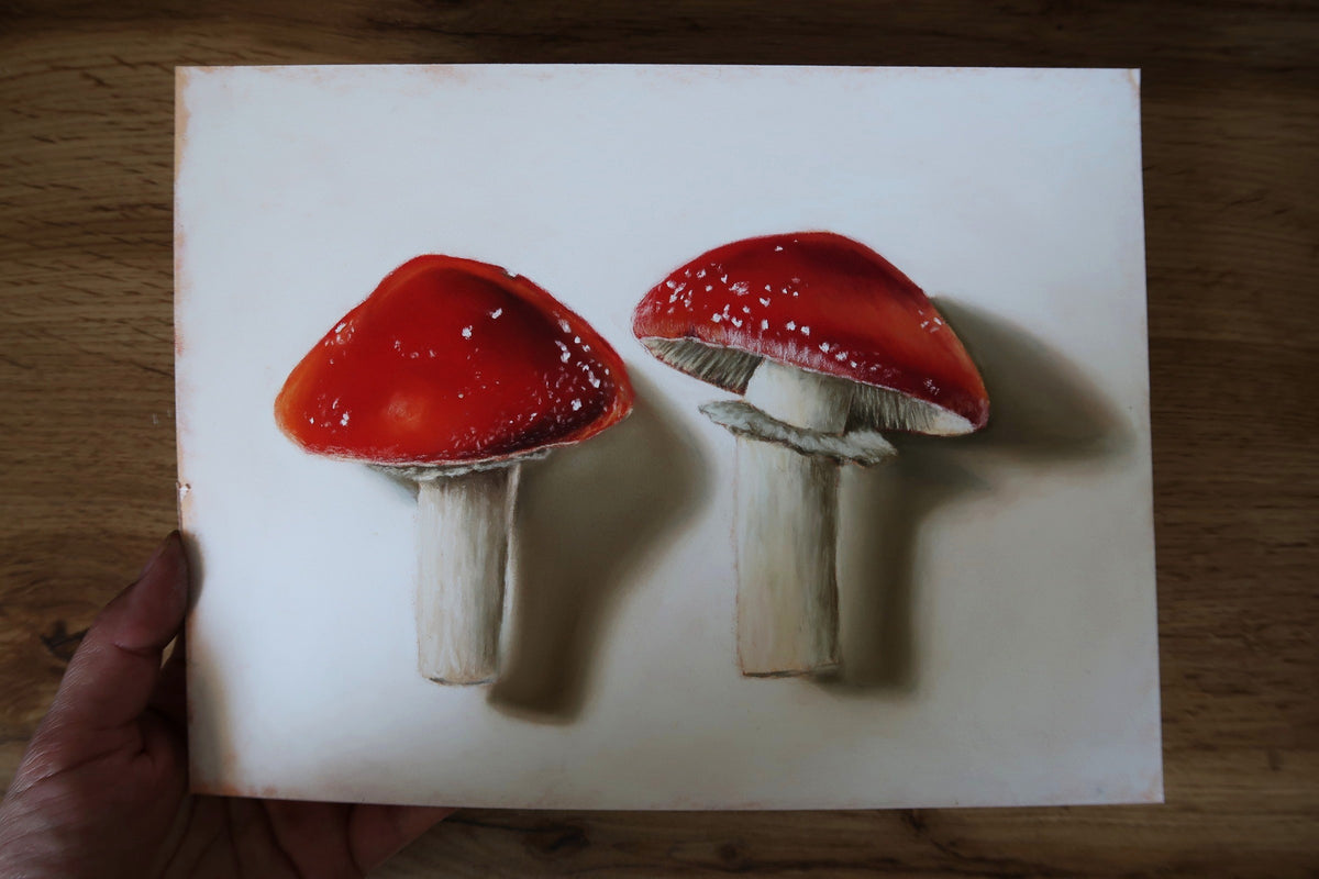 Forest Pair