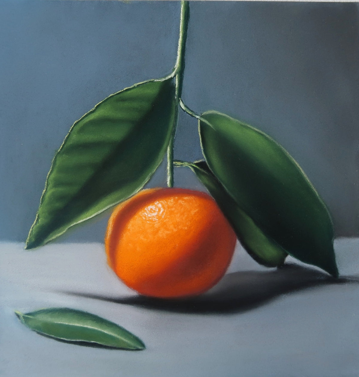 Clementine with Leaves