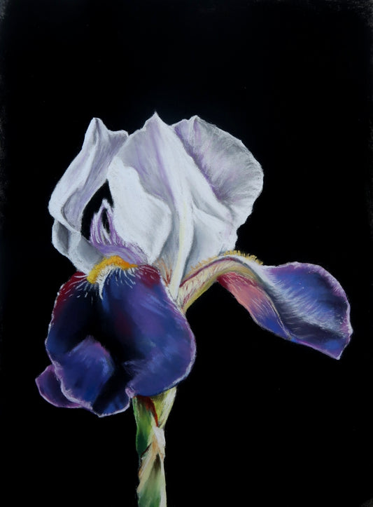 Blooming in Darkness
