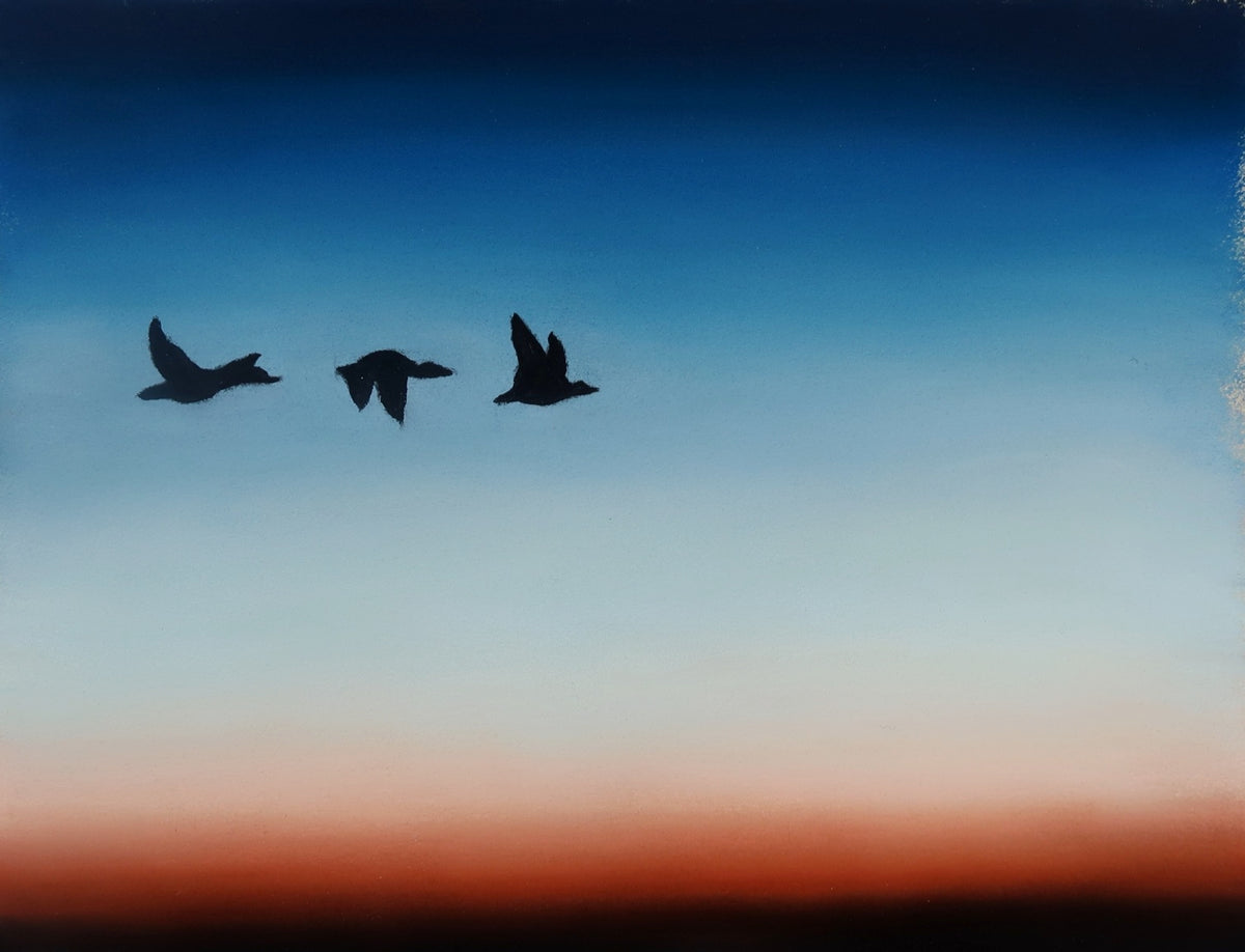 Evening Flight