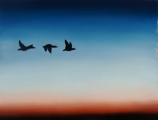 Evening Flight