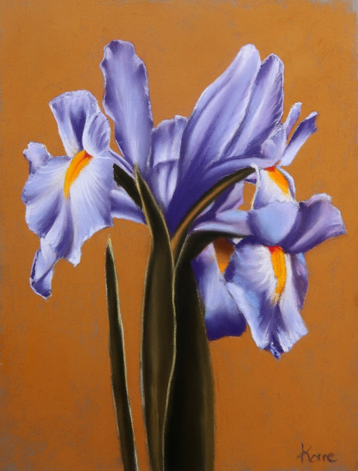 Purple Iris