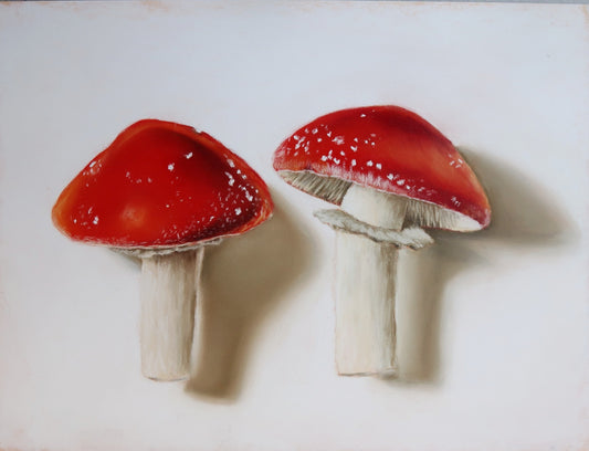 Forest Pair